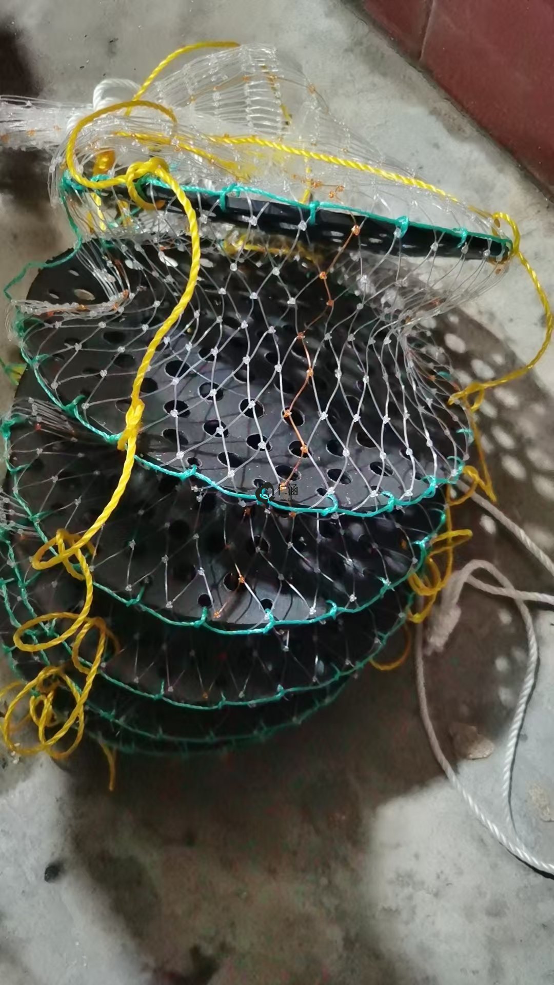 白膠絲生蠔籠